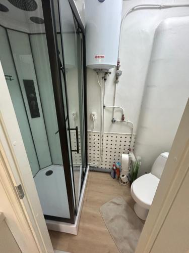 a bathroom with a shower and a toilet at Katariina allee korter in Võru