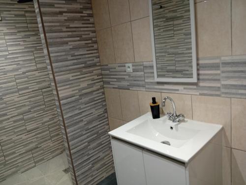 a bathroom with a sink and a shower at Tour de bridier in La Souterraine