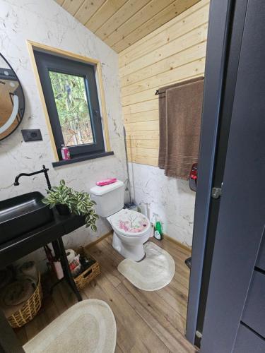 a small bathroom with a toilet and a window at Căsuța din pădure KSIM in Curtea de Argeş