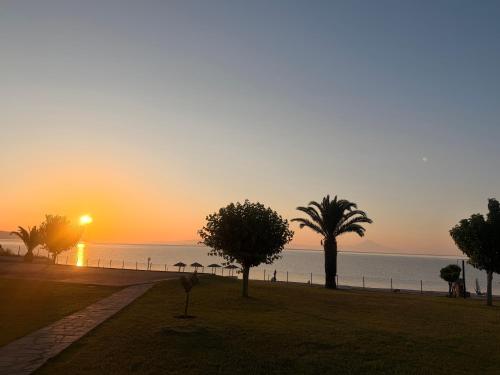 a sunset over a beach with palm trees and the ocean at Villa Nikoleta - Beach Front luxury villa with beach access in Akti Salonikiou