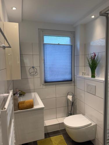 a bathroom with a toilet and a sink and a window at DeNi's Ferienwohnungen in Klotten