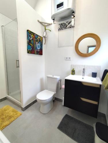 a bathroom with a toilet and a sink and a mirror at La maison du hérisson in Flines-lès-Mortagne