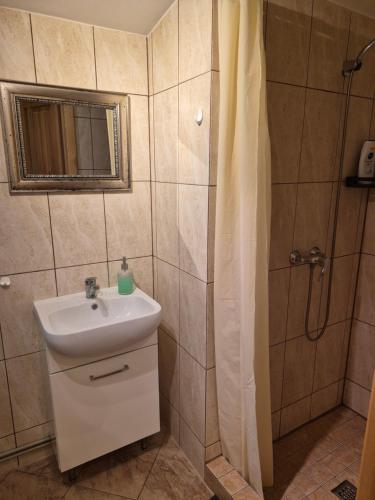 a bathroom with a sink and a shower at Pas Rasą in Palanga