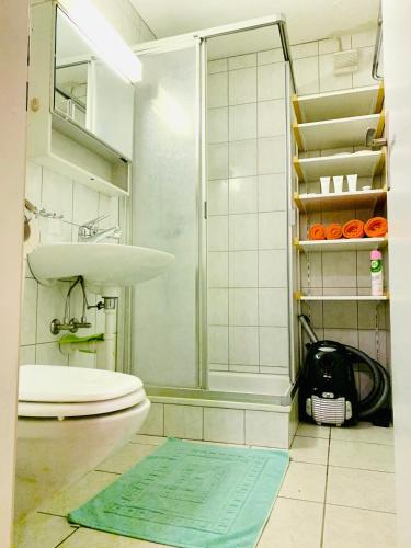 a bathroom with a toilet and a sink and a shower at The Swiss Paradise 3 Cozy Mountain Studio in Wirzweli