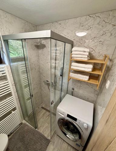 a bathroom with a shower and a washing machine at Elton384 in Bogojina