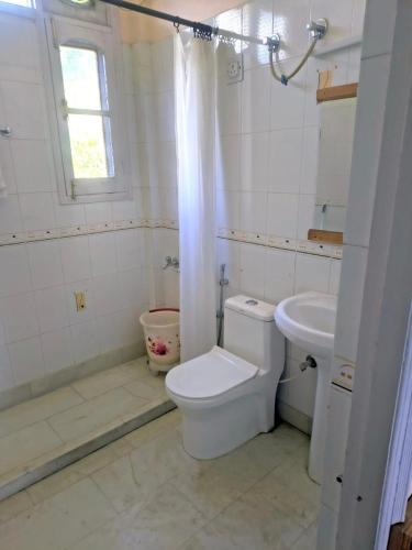 a white bathroom with a toilet and a sink at The Pahadi Ghar in Chail