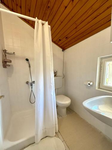 a bathroom with a toilet and a shower with a shower curtain at SEA VIEW STUDIO with kitchen, balcony& aircon in Barbat na Rabu