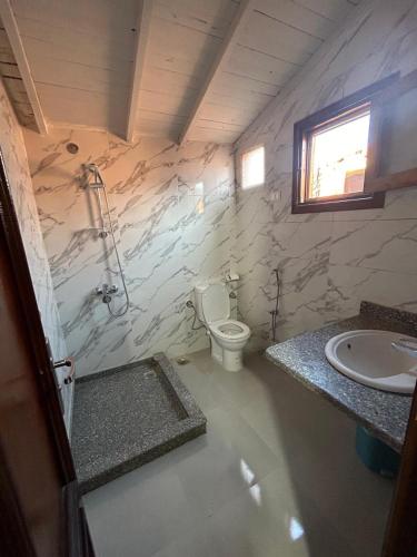 a bathroom with a toilet and a sink at Free Beach Camp in Nuweiba‘ el Muzeinah