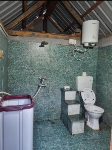 a bathroom with a toilet and a shower at EcoGlampLife in Kalgha