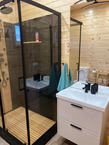 a bathroom with a shower and a white sink at Gruszchatka 1 in Gruszów