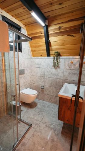 a bathroom with a toilet and a sink at Koda Bungalov in Ardeşen