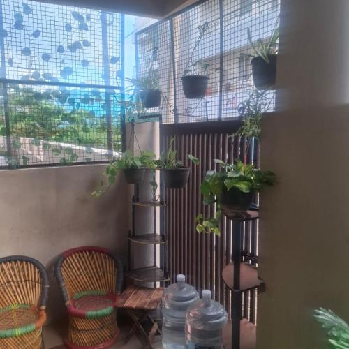 a balcony with chairs and potted plants and a window at Hotel good vibes in Coimbatore