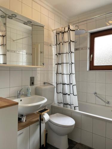 a bathroom with a toilet and a sink and a tub at FeWo Susanne in Wiehl