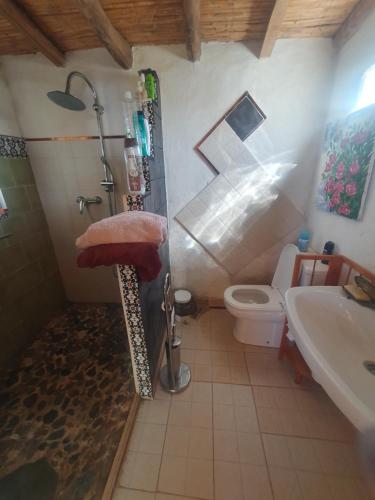 a bathroom with a shower and a toilet and a sink at Cortijo Saucillo in Albondón