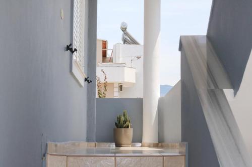 a room with a potted plant sitting on a table at Vila Enea in Ksamil