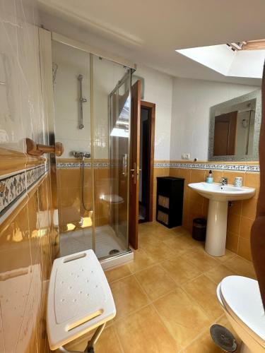 a bathroom with a shower and a sink at O Alecrin de Bouzas Ribeira Sacra in Pereiro de Aguiar