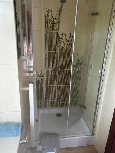 a shower with a glass door in a bathroom at Agroturystyka na Górce in Nowa Wies