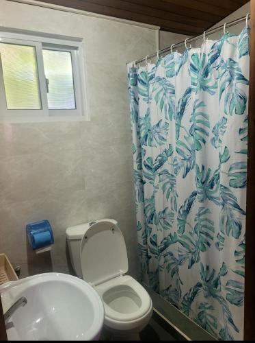 a bathroom with a toilet and a shower curtain at Creole Cottage Homestay in Mahe