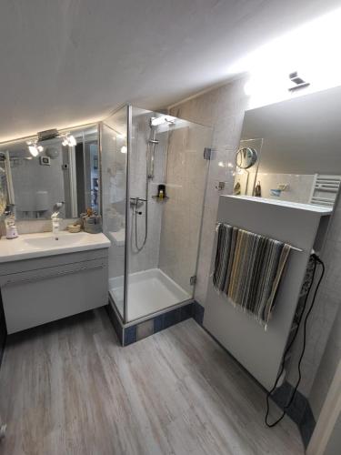 a bathroom with a shower and a sink at Golf & Meer - Appartment im Skiper Resort in Crveni Vrh