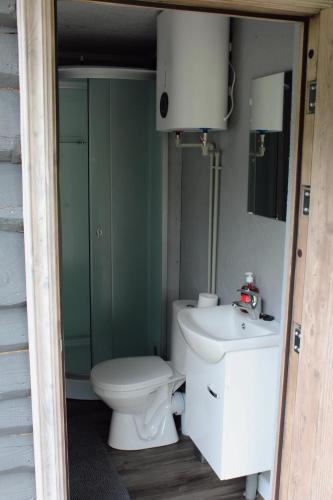 a bathroom with a toilet and a sink at Lubānas mototrase in Lubāna