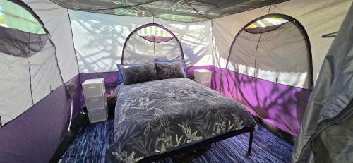 a bedroom with a bed in a tent at Meyenburg Glamping in Mount Morgan