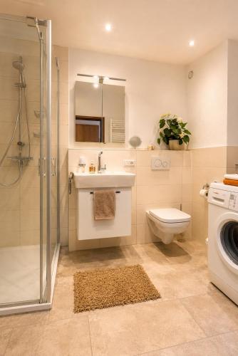 a bathroom with a sink toilet and a washing machine at Gemütliche und Zentrumsnahe Wohnung in Goslar in Goslar