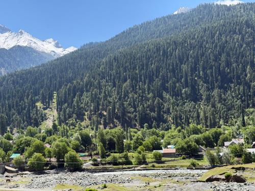 a view of a mountain with a town and a river at Himalayan Stay in Sonāmarg