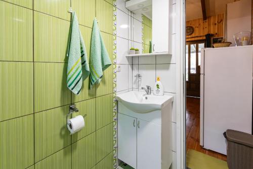 a bathroom with a sink and a green wall at Bamboo River House in Ulcinj