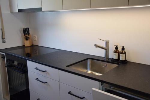a kitchen with a sink and a counter top at TheCozyHideaway in Lungern