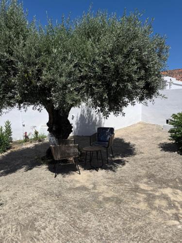 a table and a chair under a tree at Casa do Pátio in Mértola