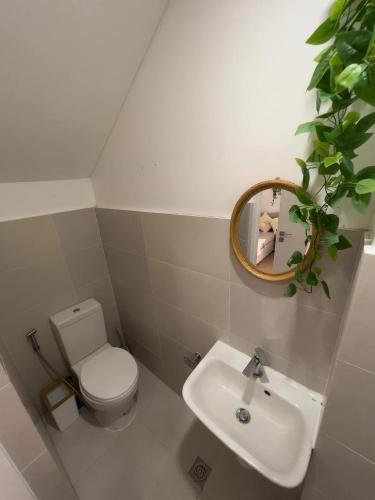 a bathroom with a toilet and a sink and a mirror at South Haven in Calo