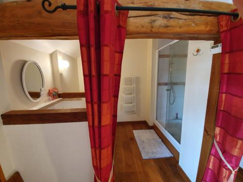 a bathroom with a red shower curtain and a mirror at Le Clos de La Réserve in Cinq-Mars-la-Pile