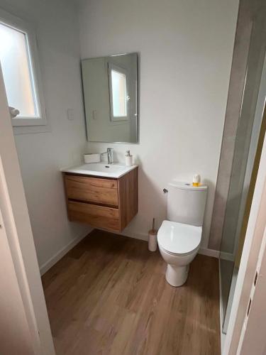 a bathroom with a toilet and a sink and a mirror at L'escale Cognaçaise in Cognac