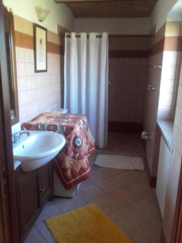 a bathroom with a sink and a shower at Cascina E&E in Costigliole dʼAsti