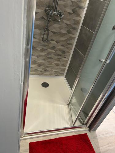 a shower with a glass ceiling and a red carpet at Calme et quiétude in Saint-Vivien-de-Blaye