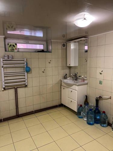 a bathroom with a sink and a mirror at Котедж "Під Крилом" in Dilyatyn