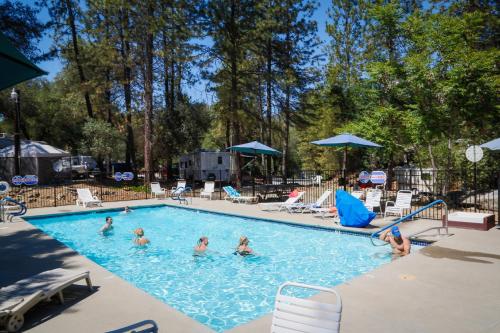 a group of people in a swimming pool at Ponderosa Camping Resort One-Bedroom Cabin 2 in Lotus