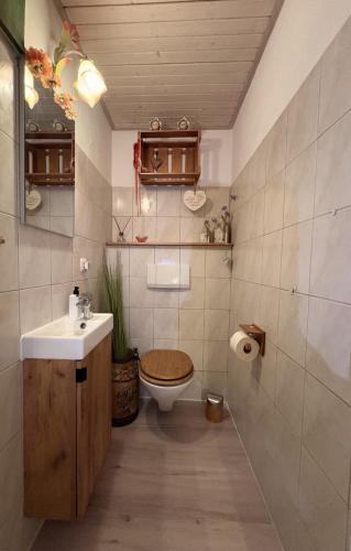 a bathroom with a toilet and a sink at Apartment Ape Maja in Bad Wiessee