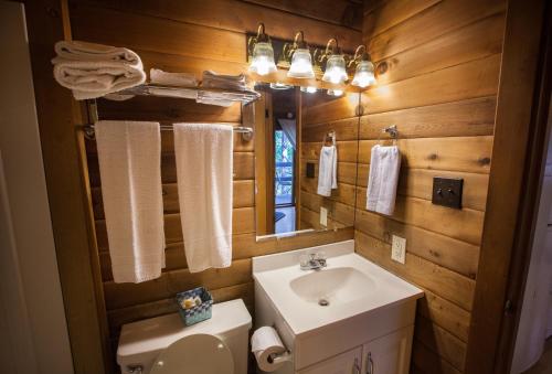 a bathroom with a sink and a toilet and a mirror at Lake Texoma Camping Resort Cabin 4 in Willow Spring