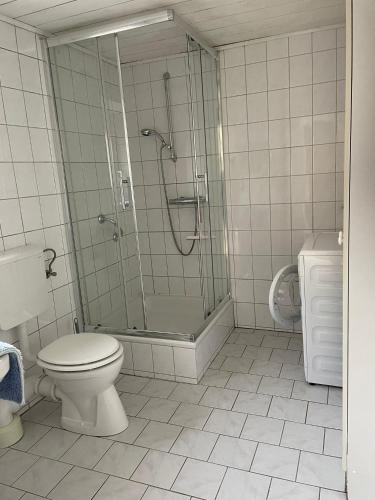 a bathroom with a shower and a toilet and a sink at Eva Domizil in Laudesfeld