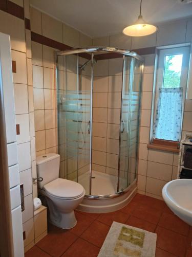 a bathroom with a shower and a toilet and a sink at Gorczyca Reset in Płaska