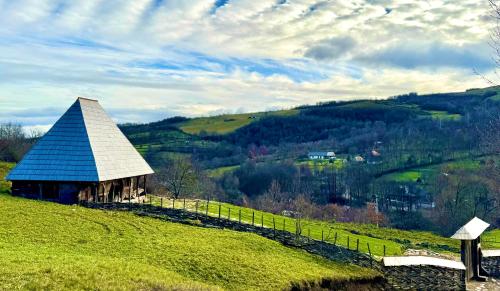 a barn on a hill with a green field at Hafia Legacy in Berbeşti