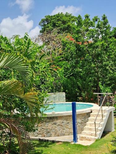 a swimming pool in a garden with trees at Labellaventura in Las Galeras