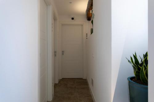 Serenea Suites & Apartments photo 32