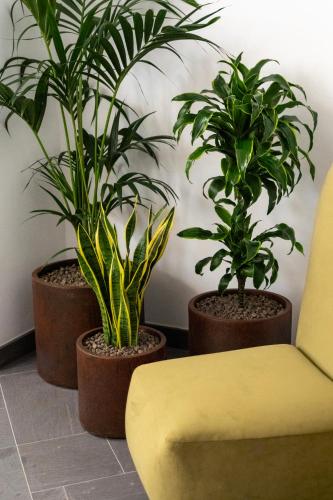 Serenea Suites & Apartments photo 58