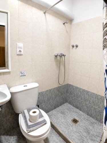 a bathroom with a toilet and a shower at Pfaffenhofen in Nea Vrasna