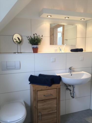 a bathroom with a sink and a toilet and a mirror at Strandläufer in Breege