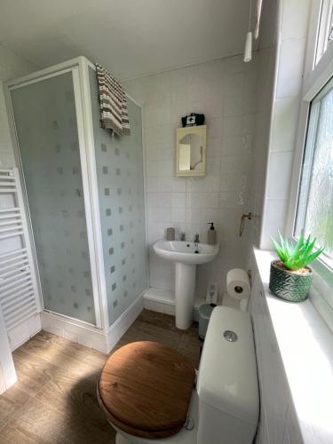 a bathroom with a toilet and a sink at Beach Chalet Home in Scratby