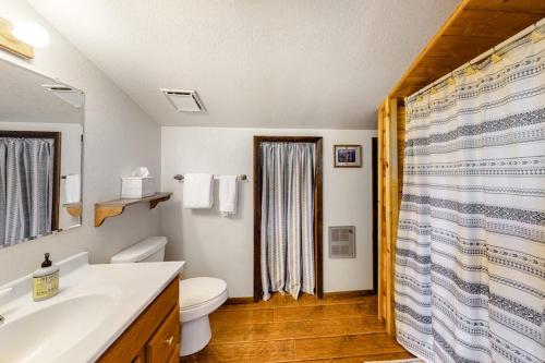 a bathroom with a toilet and a sink and a shower at The Norma Charles in South Fork