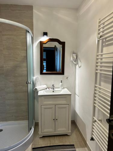 a bathroom with a sink and a shower and a mirror at Carpathian Soul Maramures in Bogdan Vodă
